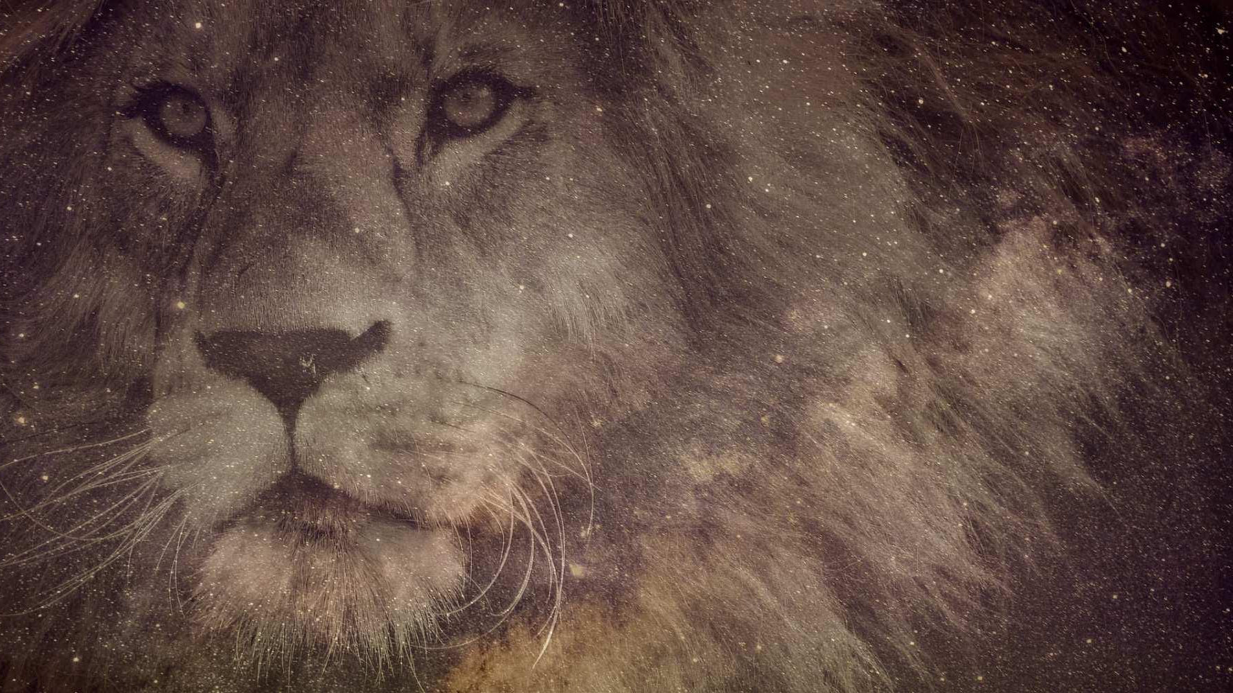 Leo Gift Guide