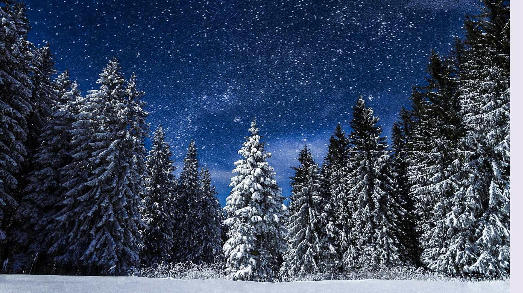 Winter Solstice