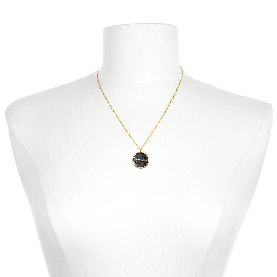 Aquarius Amethyst Constellation Zodiac Necklace on Neck Bust