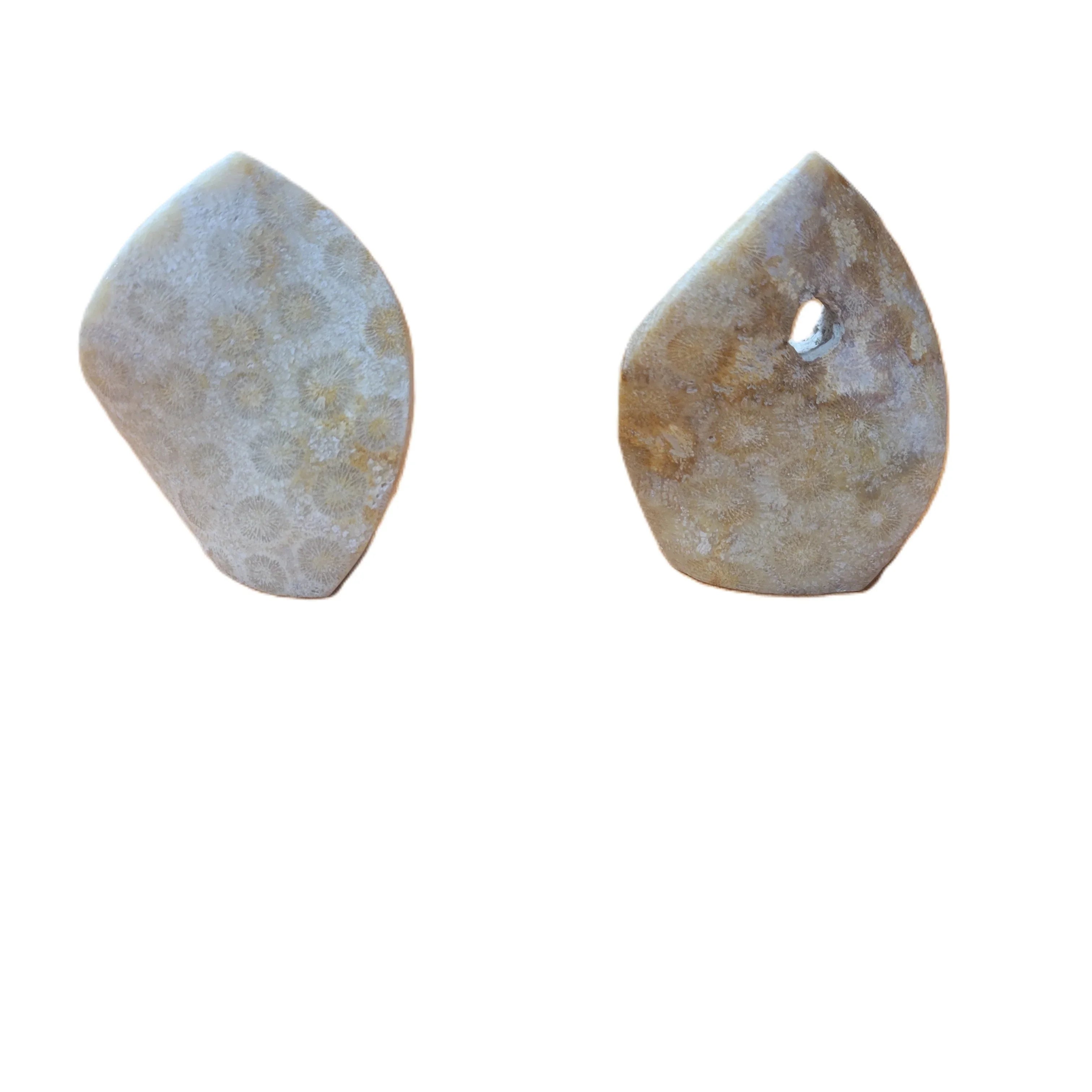 Coral Fossil Flame 100-150g 2.5-3.5"