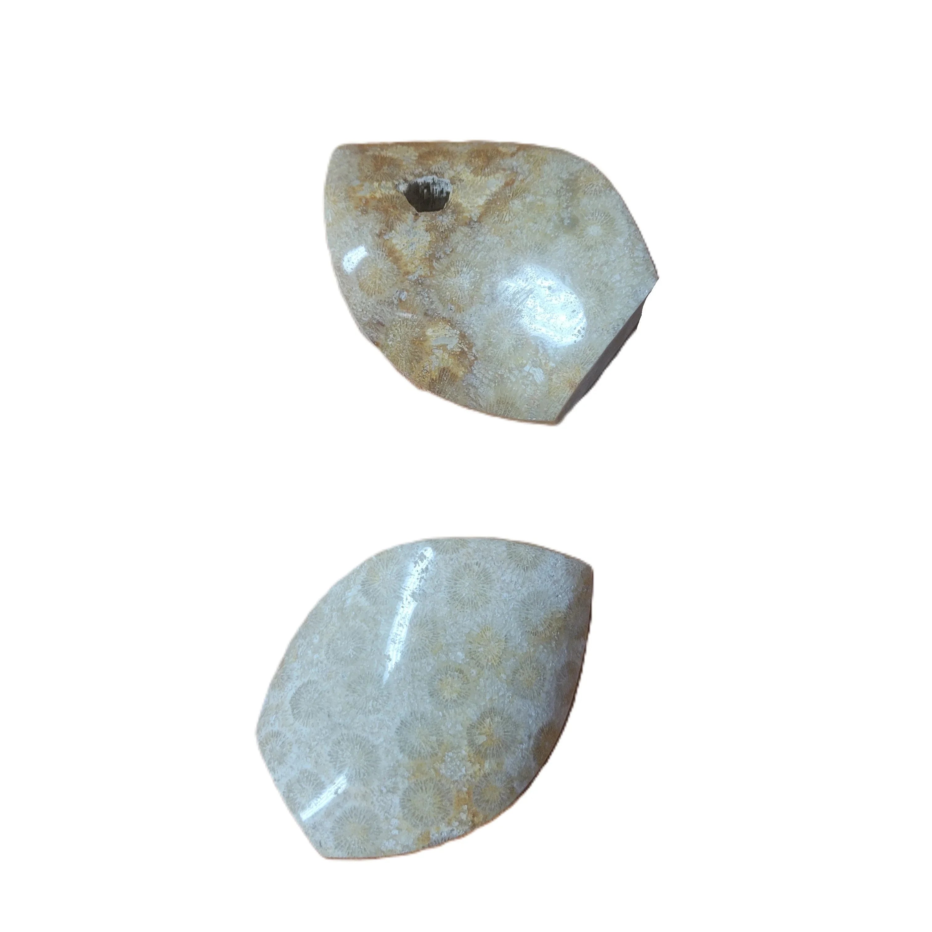 Coral Fossil Flame 100-150g 2.5-3.5" Flat Lay