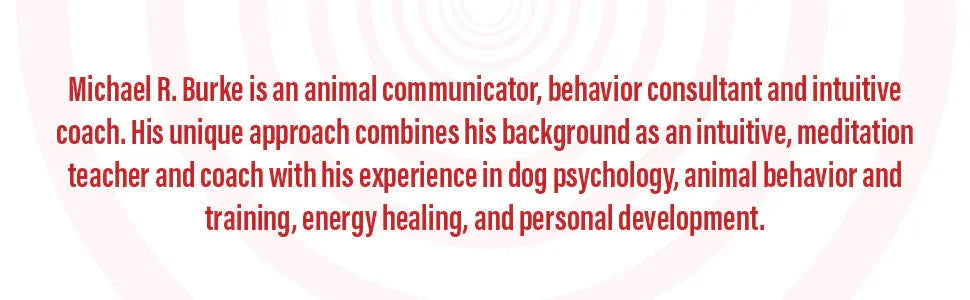 Intuitive Animal Communication: Co-Create a Meaningful Life and Deep Connection with Animals Author