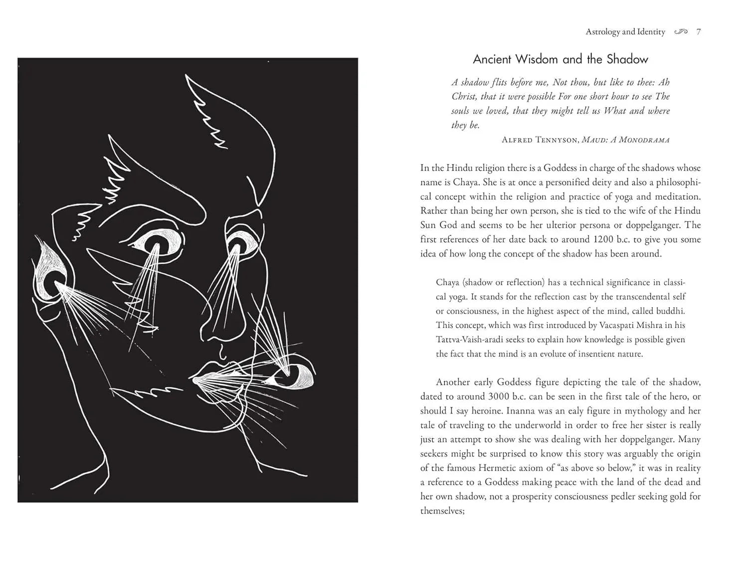 Astrology of the Shadow Self: Working with Oppositions in Your Natal Chart 2