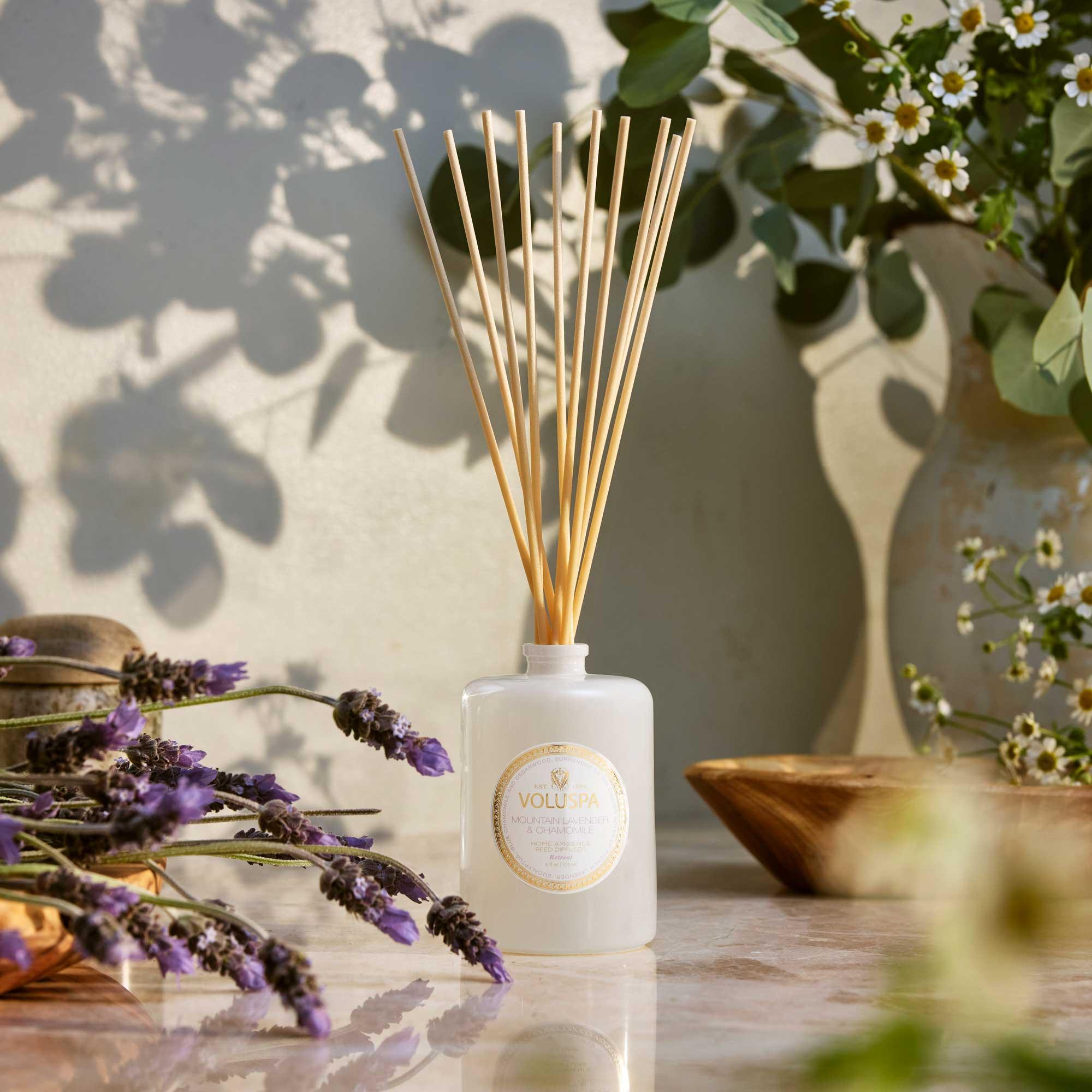Mountain Lavender and Chamomile Reed Diffuser with background