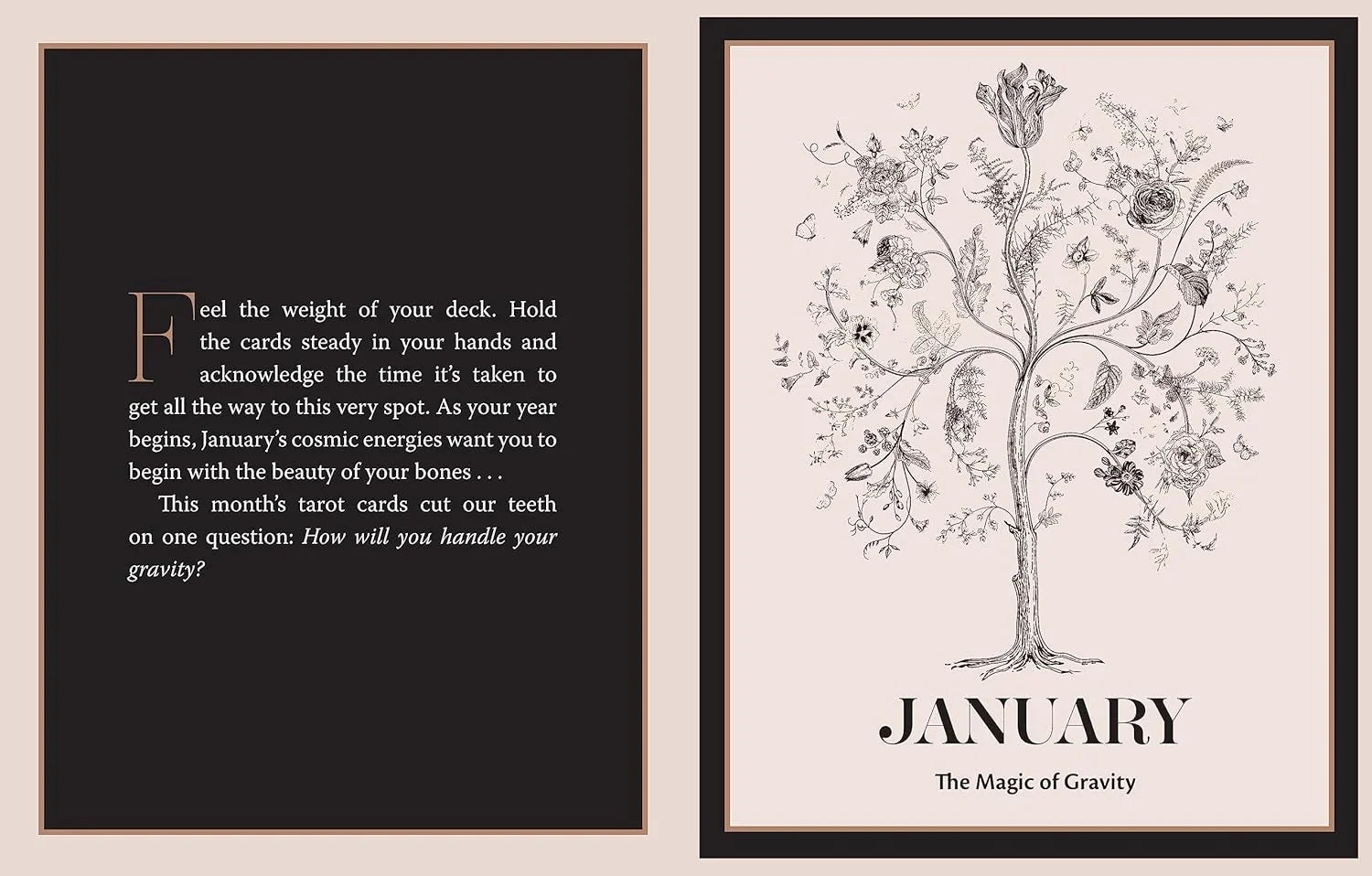 Tarot Almanac: A Seasonal Guide to Divining with Your Cards Page 1