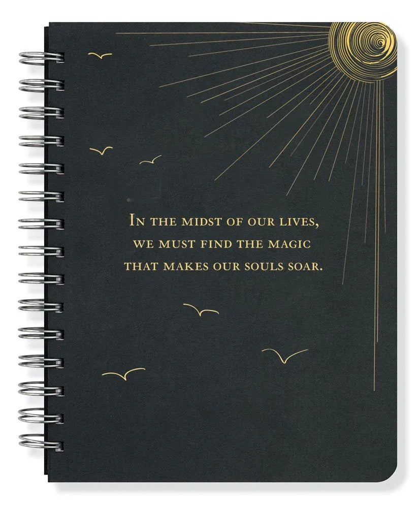 Soar Journal (Notebook, Diary) (Black Rock) cover image