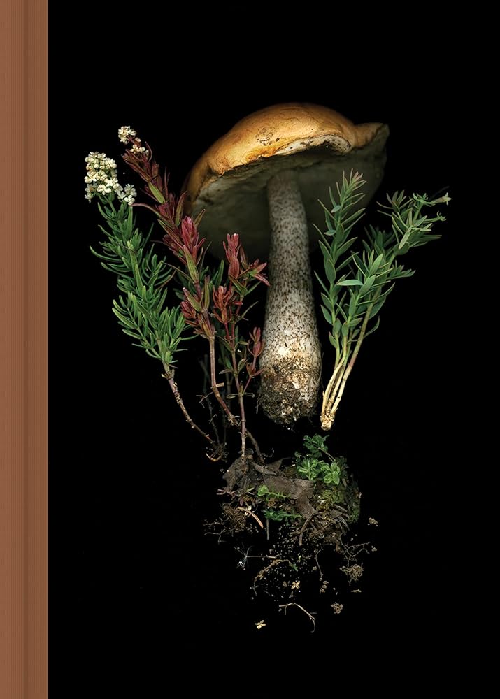 Deep Dark Forest Mushroom Journal cover image