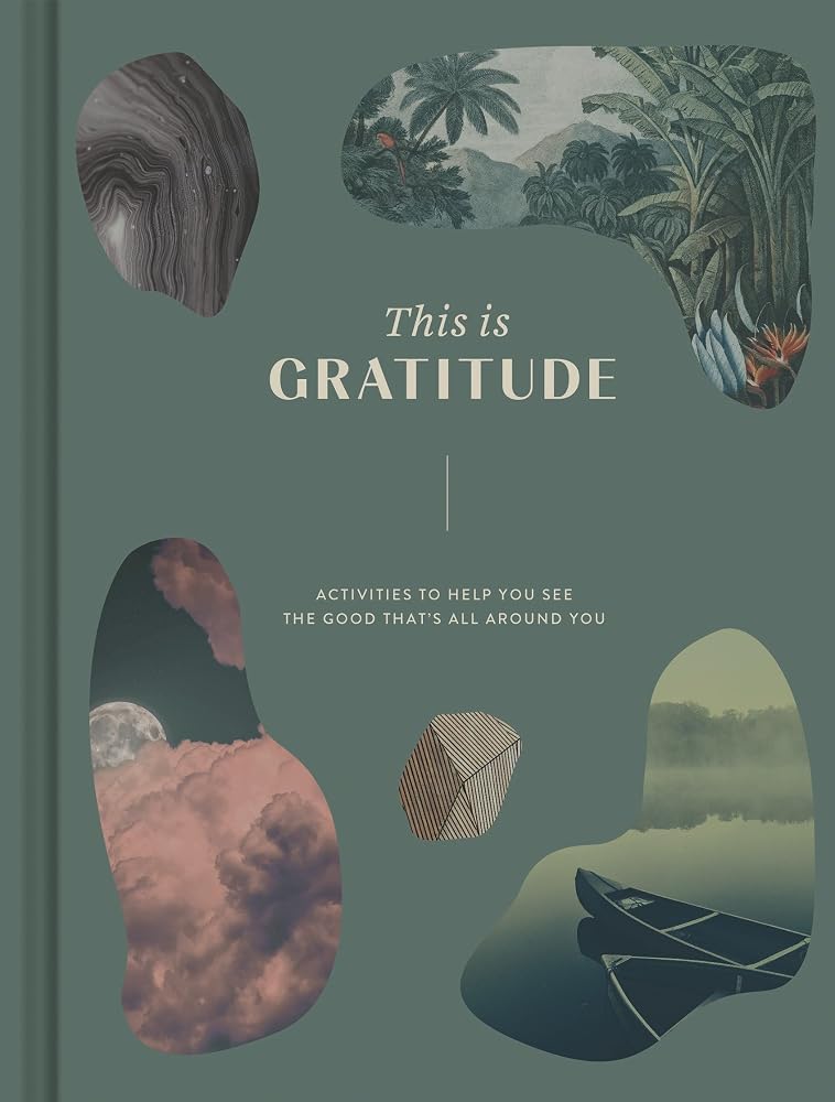 This Is Gratitude: Activities to Help You See the Good That's All Around You cover image