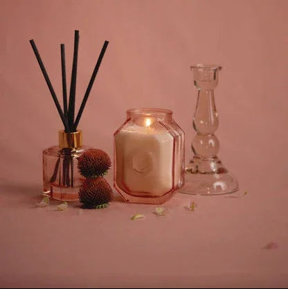 Saffron Rose Botanica Candle Lit with Diffuser