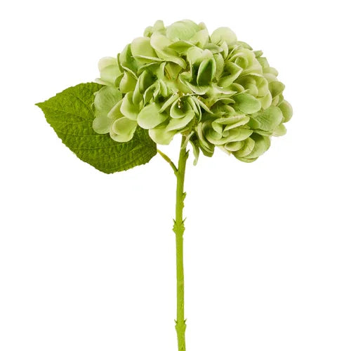 Green Hydrangea Stem, 13"