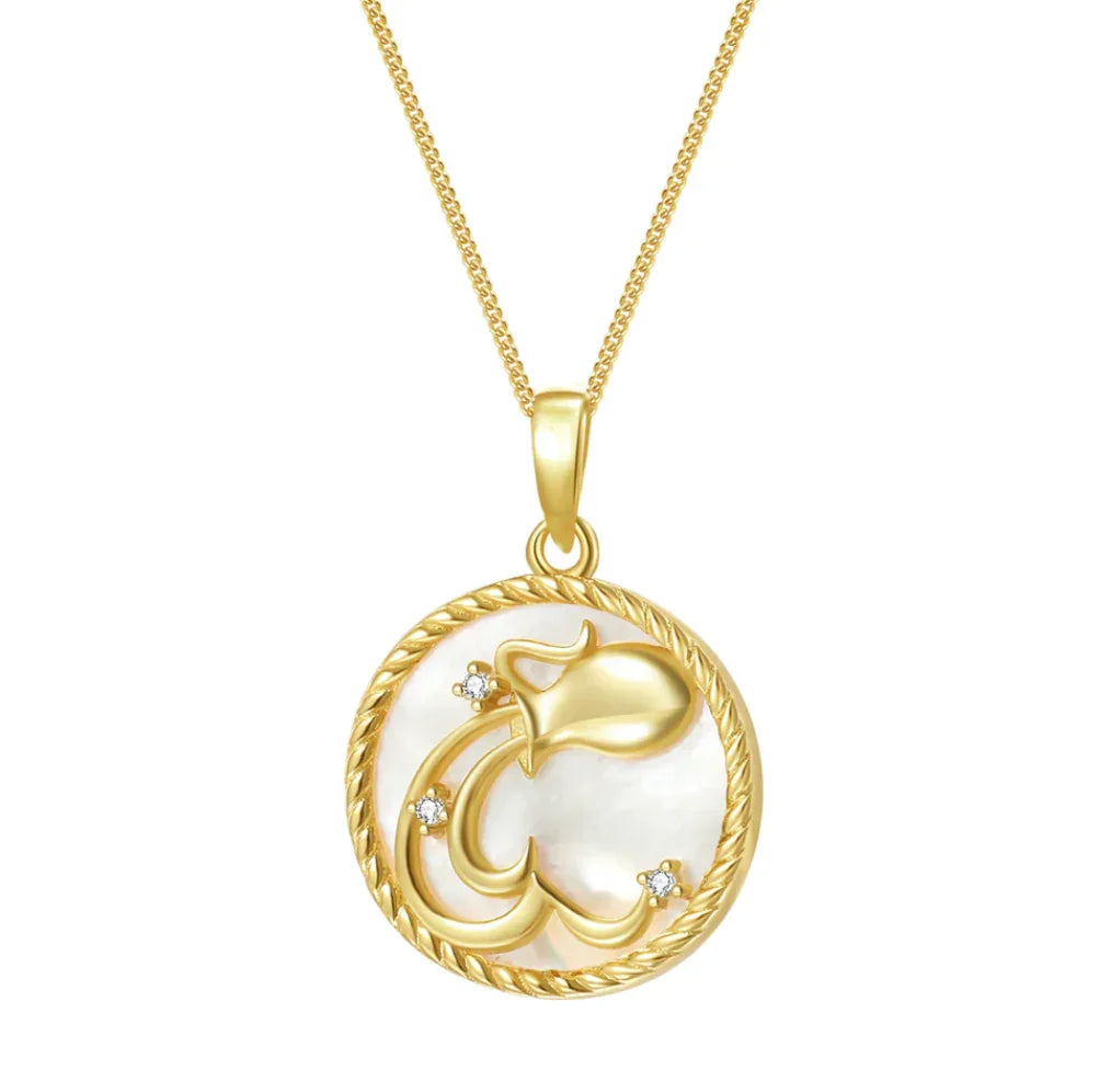 Aquarius Mother of Pearl Zodiac Sign Medallion Necklace
