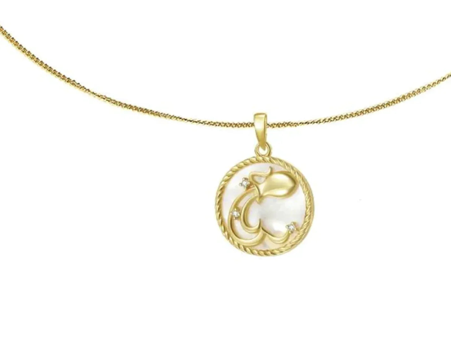 Aquarius Mother of Pearl Zodiac Sign Medallion Necklace Showing Chain