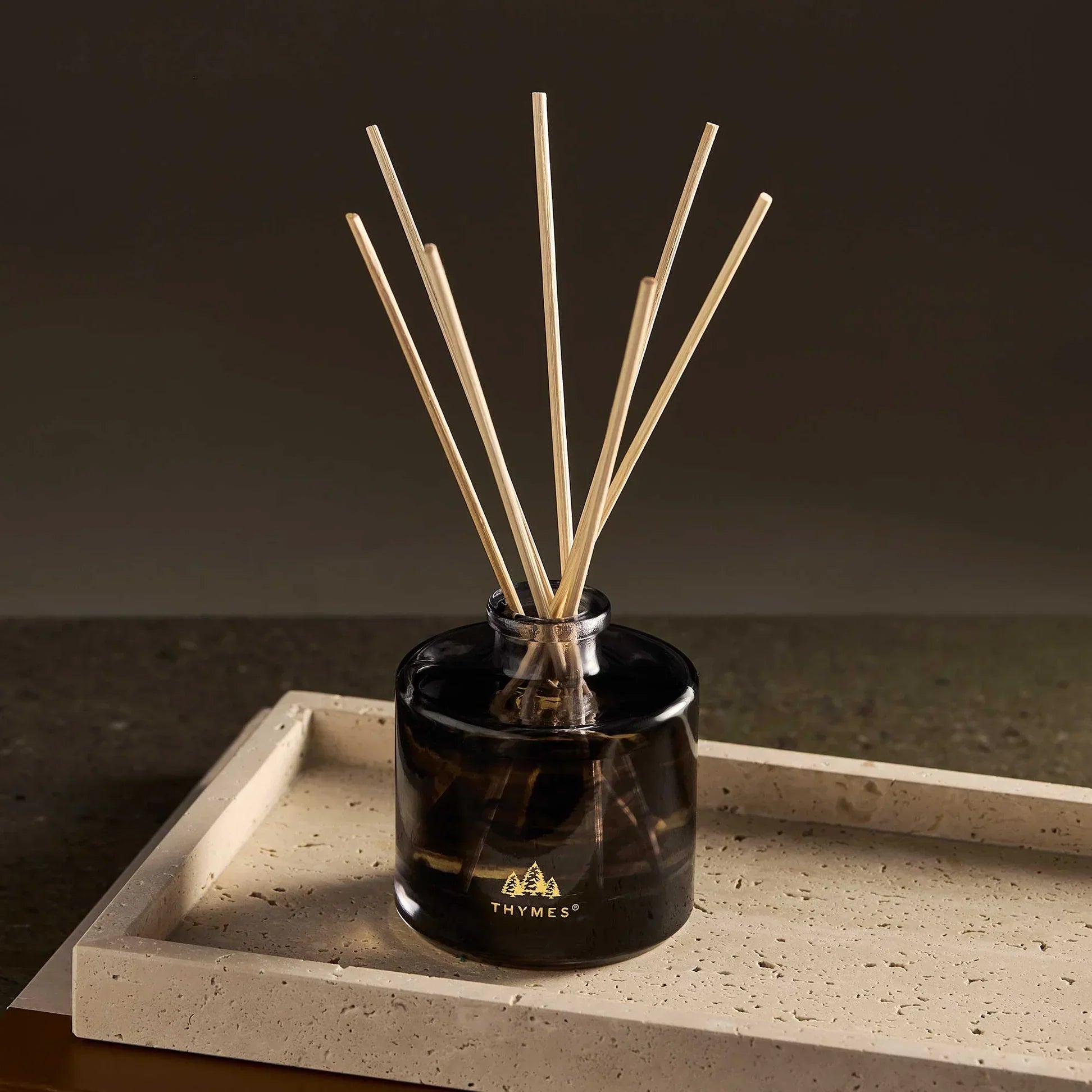 Noir Woods Petite Diffuser on Table