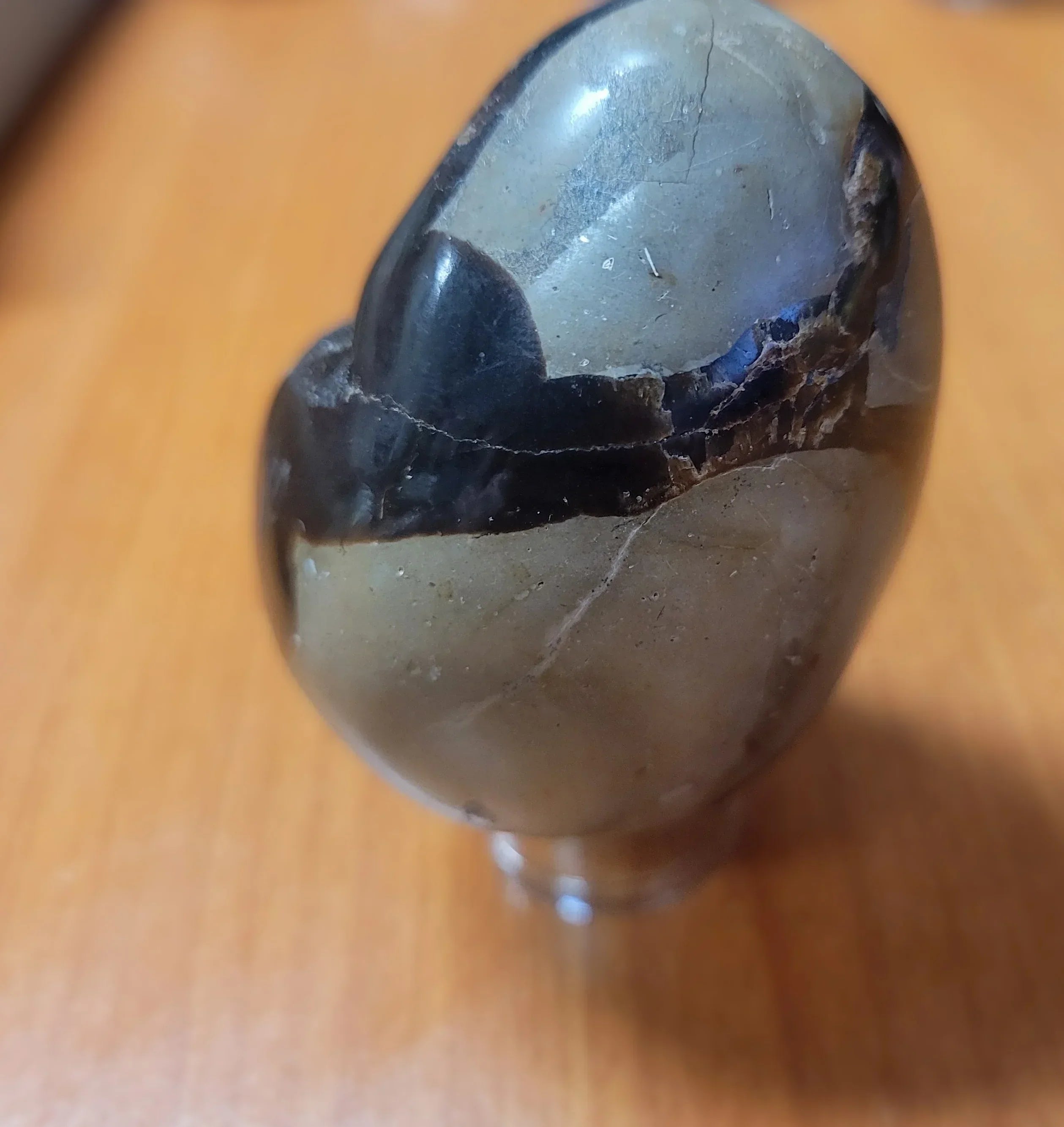 Septarian Egg with Black Druzy Back