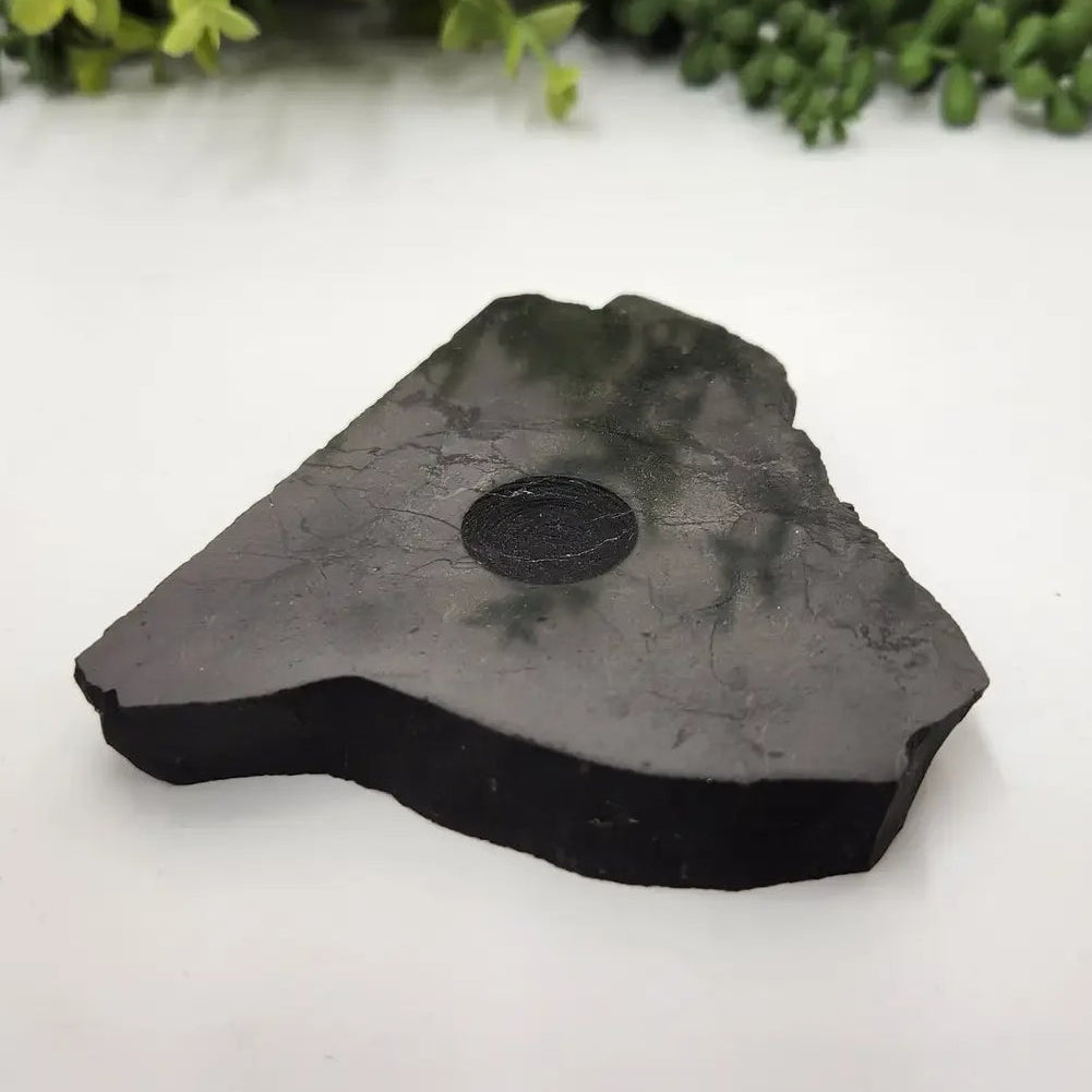 Black shungite stone with a circular depression on a white surface with greenery