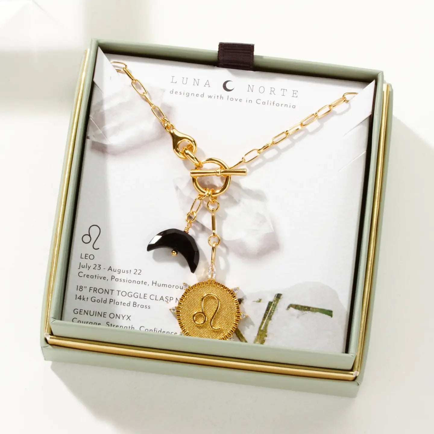 Leo Zodiac Sign Onyx Necklace in Box