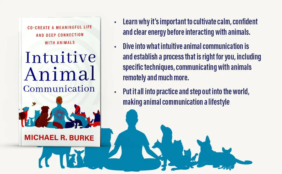 Intuitive Animal Communication: Co-Create a Meaningful Life and Deep Connection with Animals About