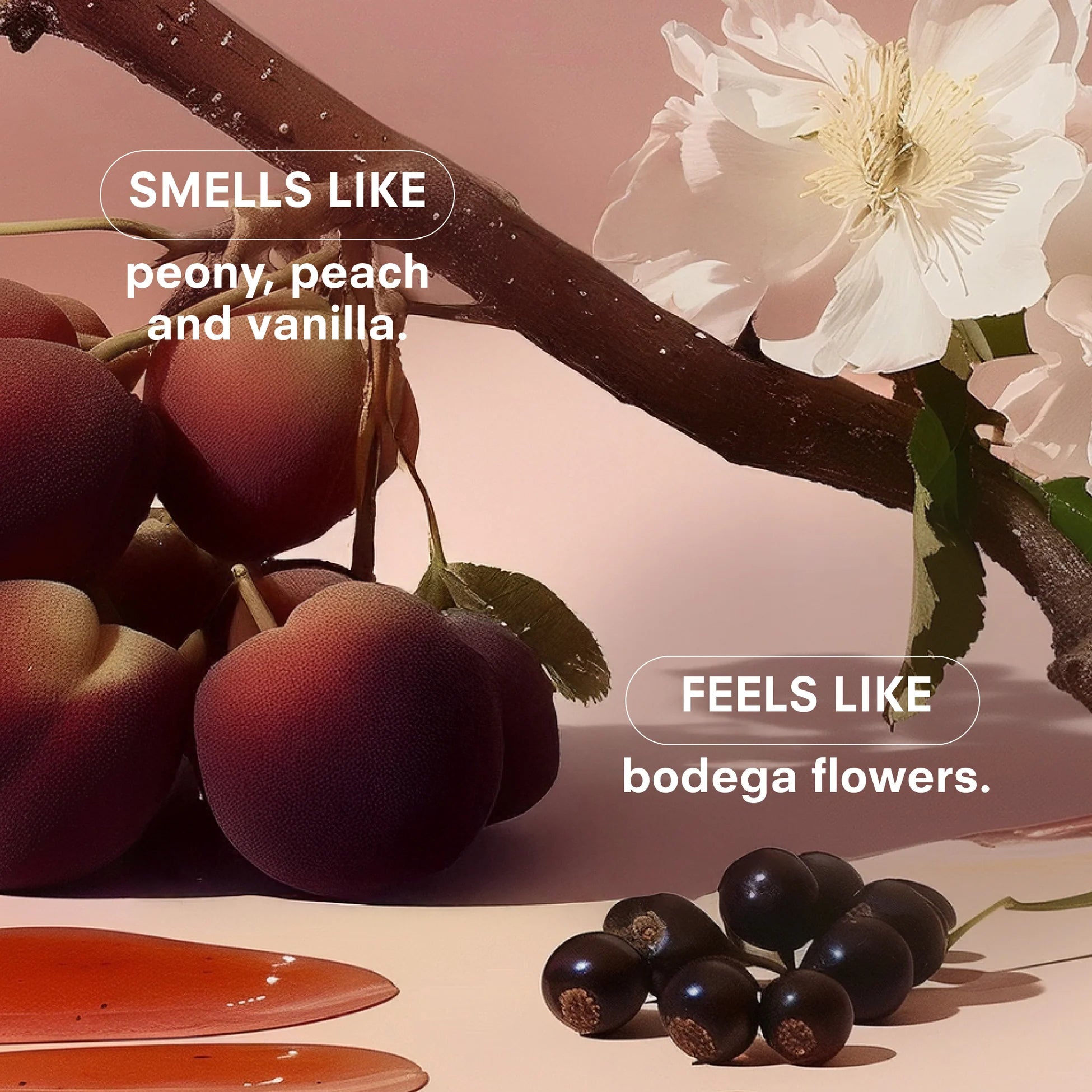 Les Scent List - Fruits and flowers with text describing fragrance and texture.