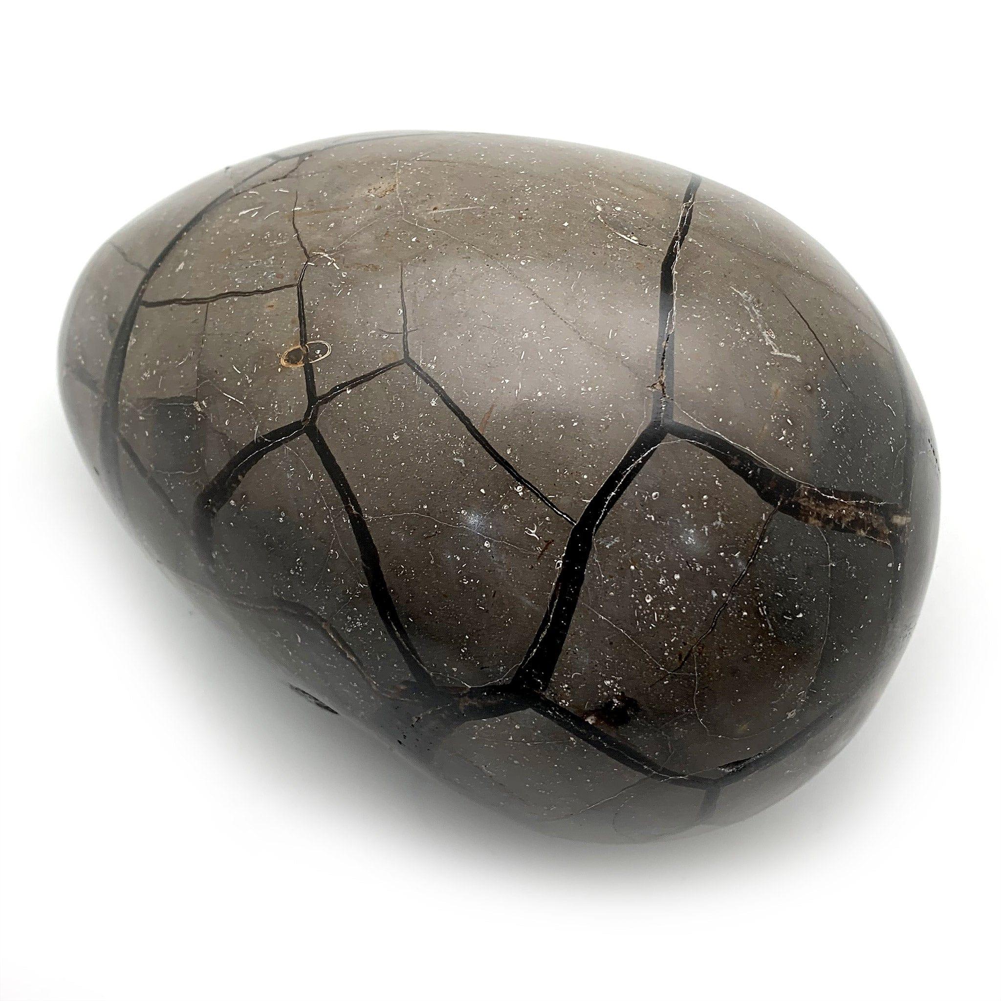 Septarian Egg