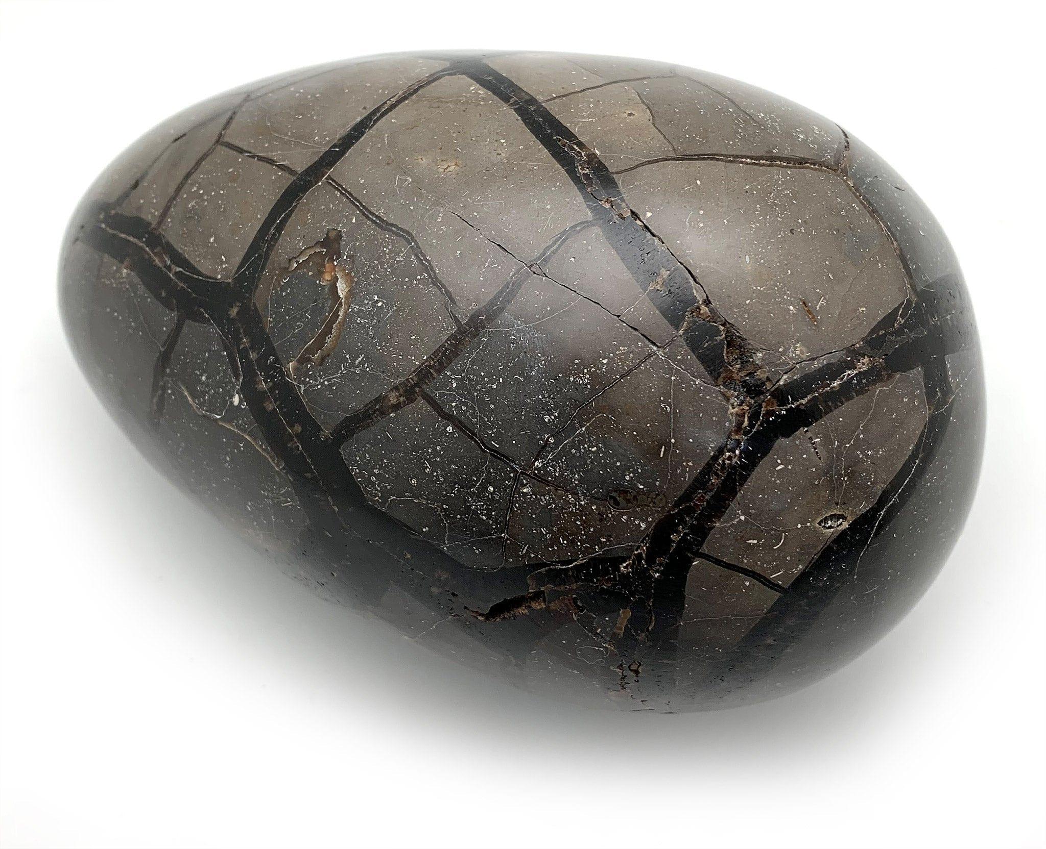 Septarian Egg