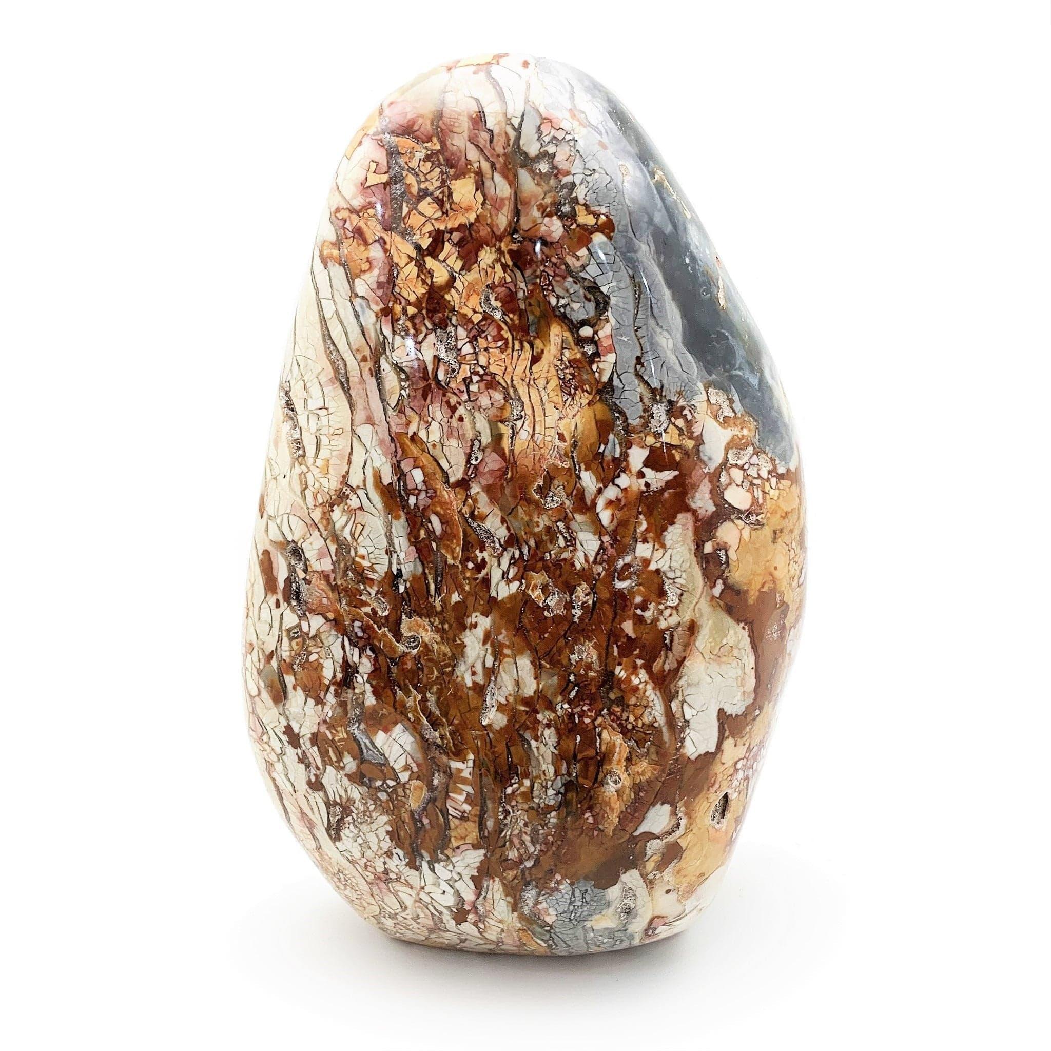 Jasper Ibis Freeform