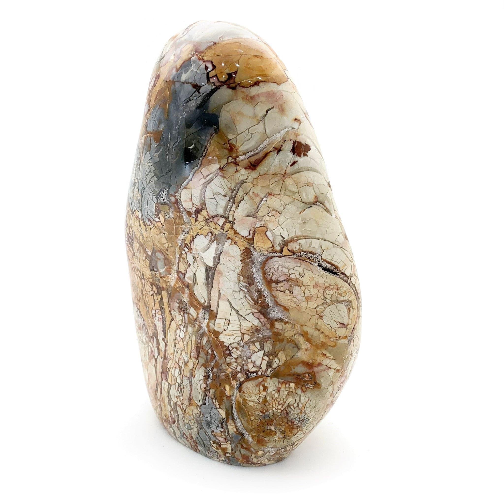 Jasper Ibis Freeform Large