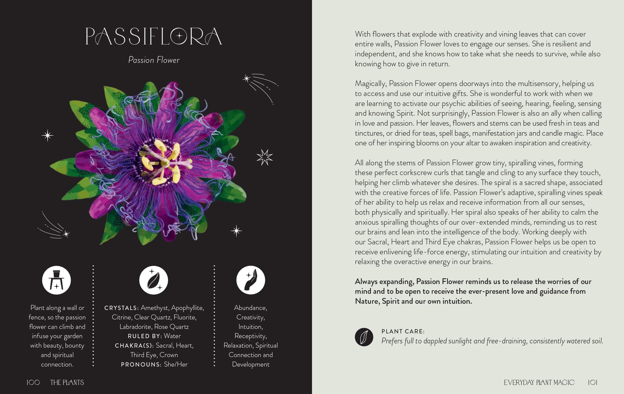 Everyday Plant Magic