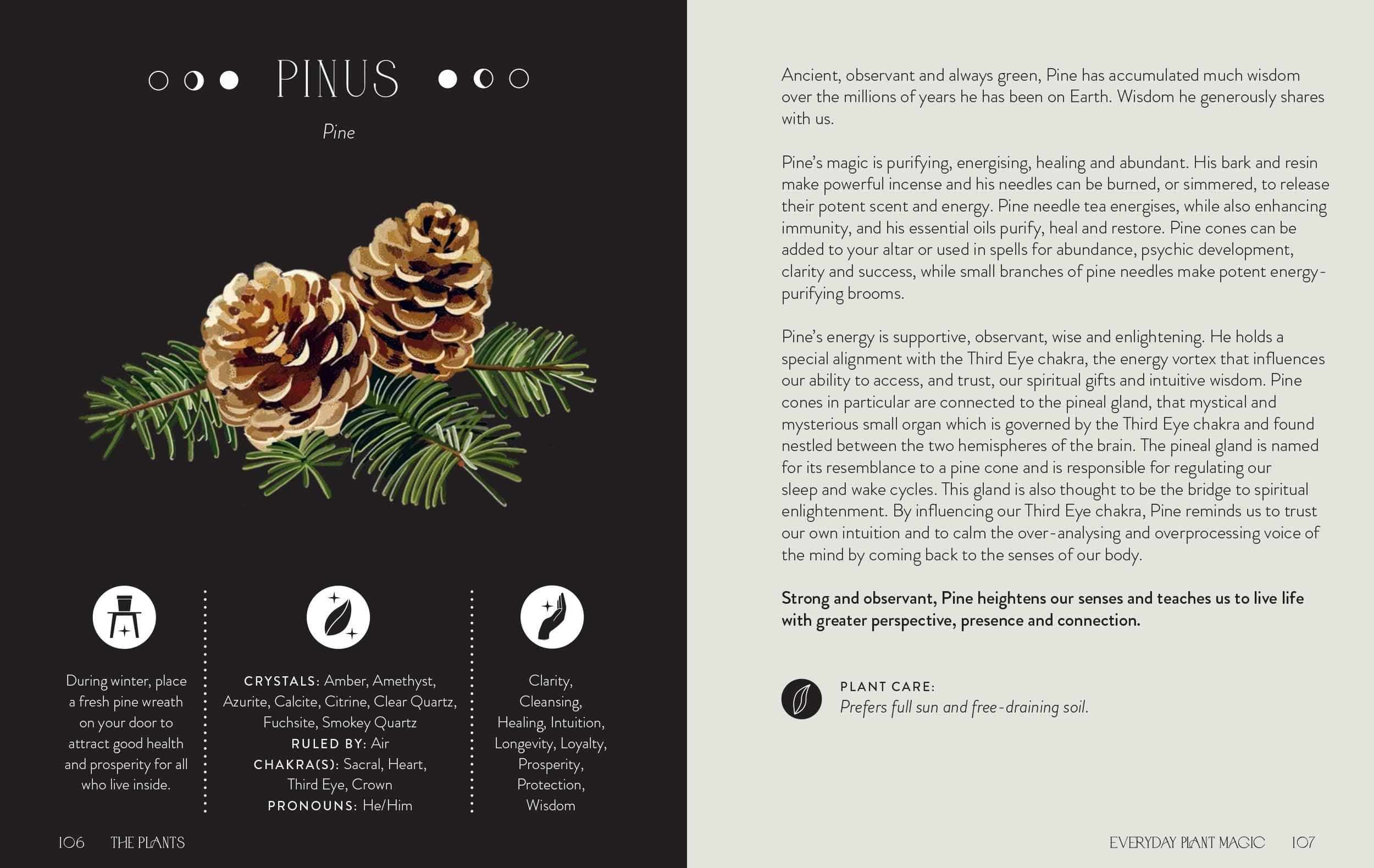 Everyday Plant Magic