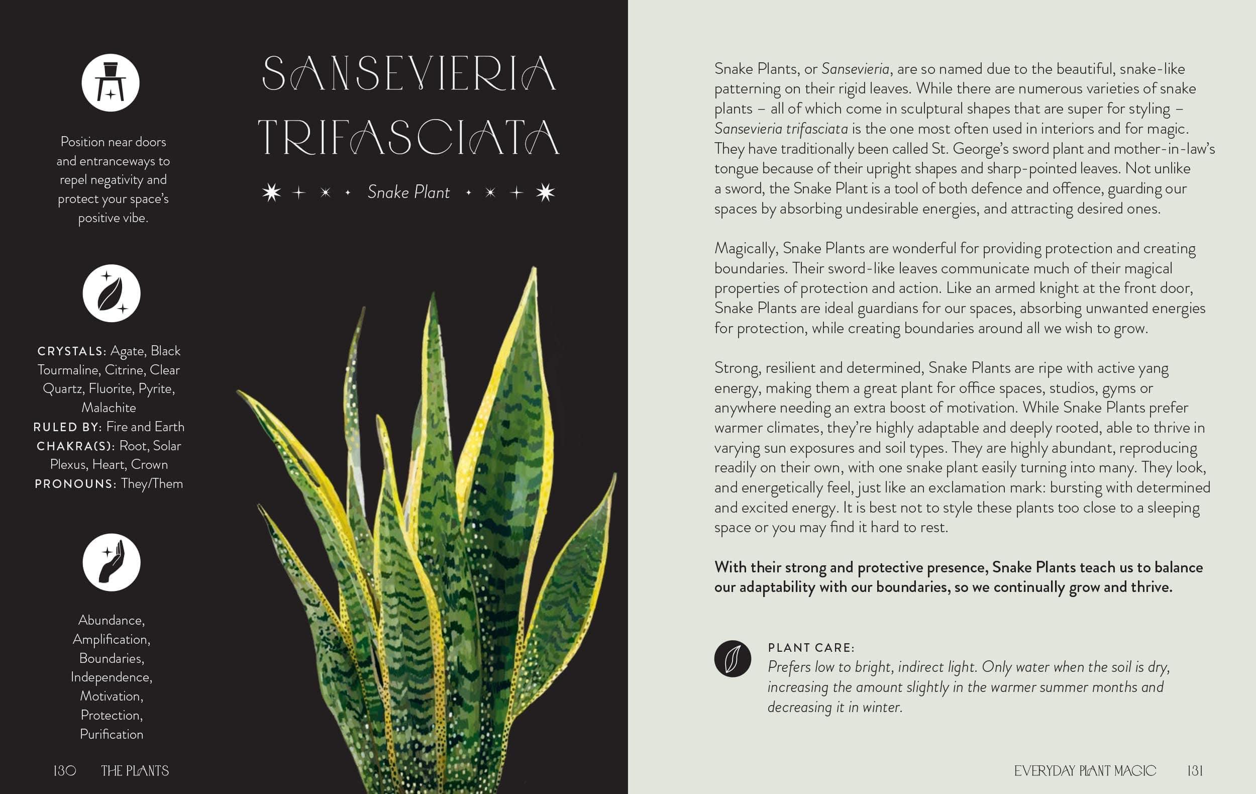 Everyday Plant Magic