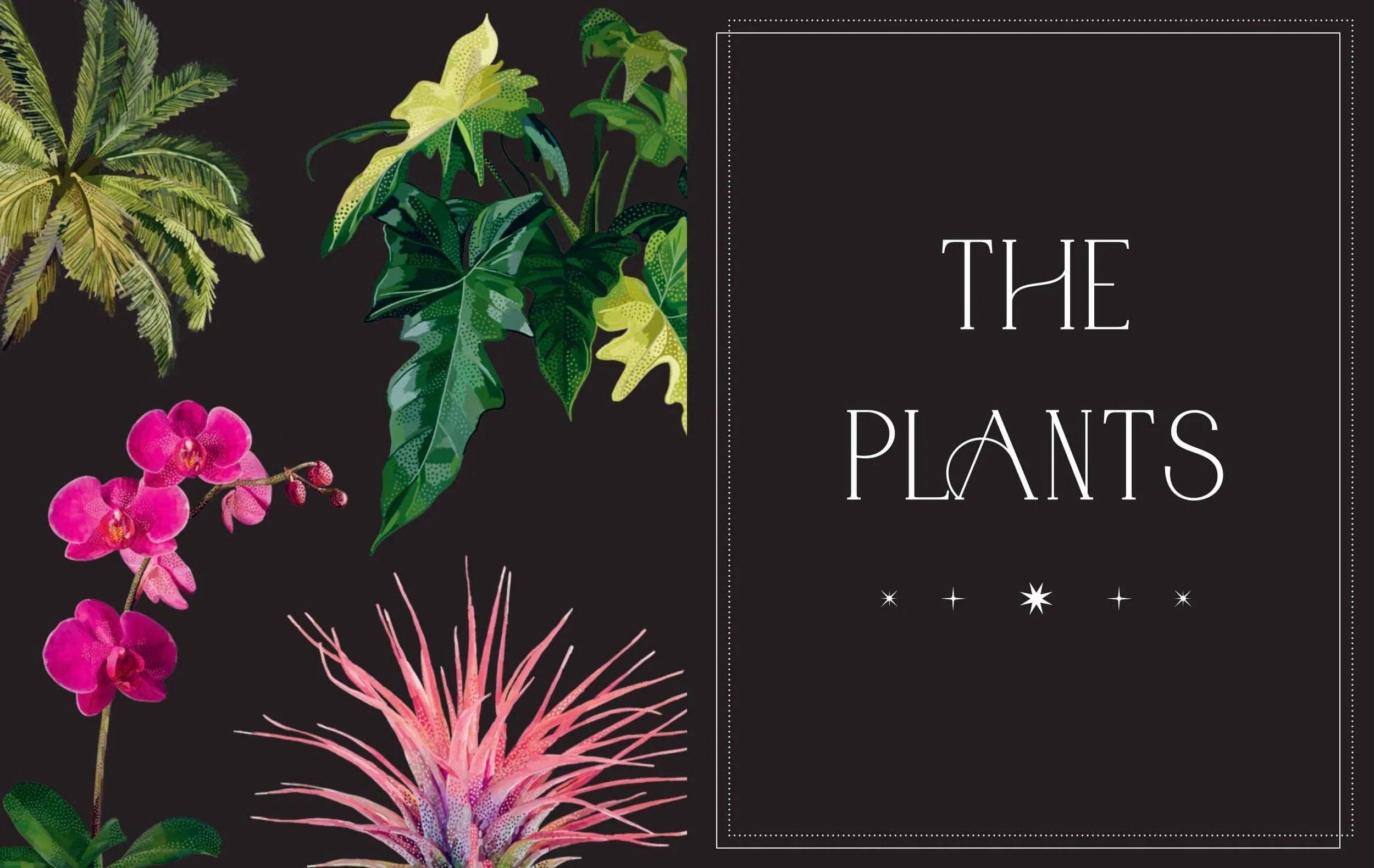 Everyday Plant Magic