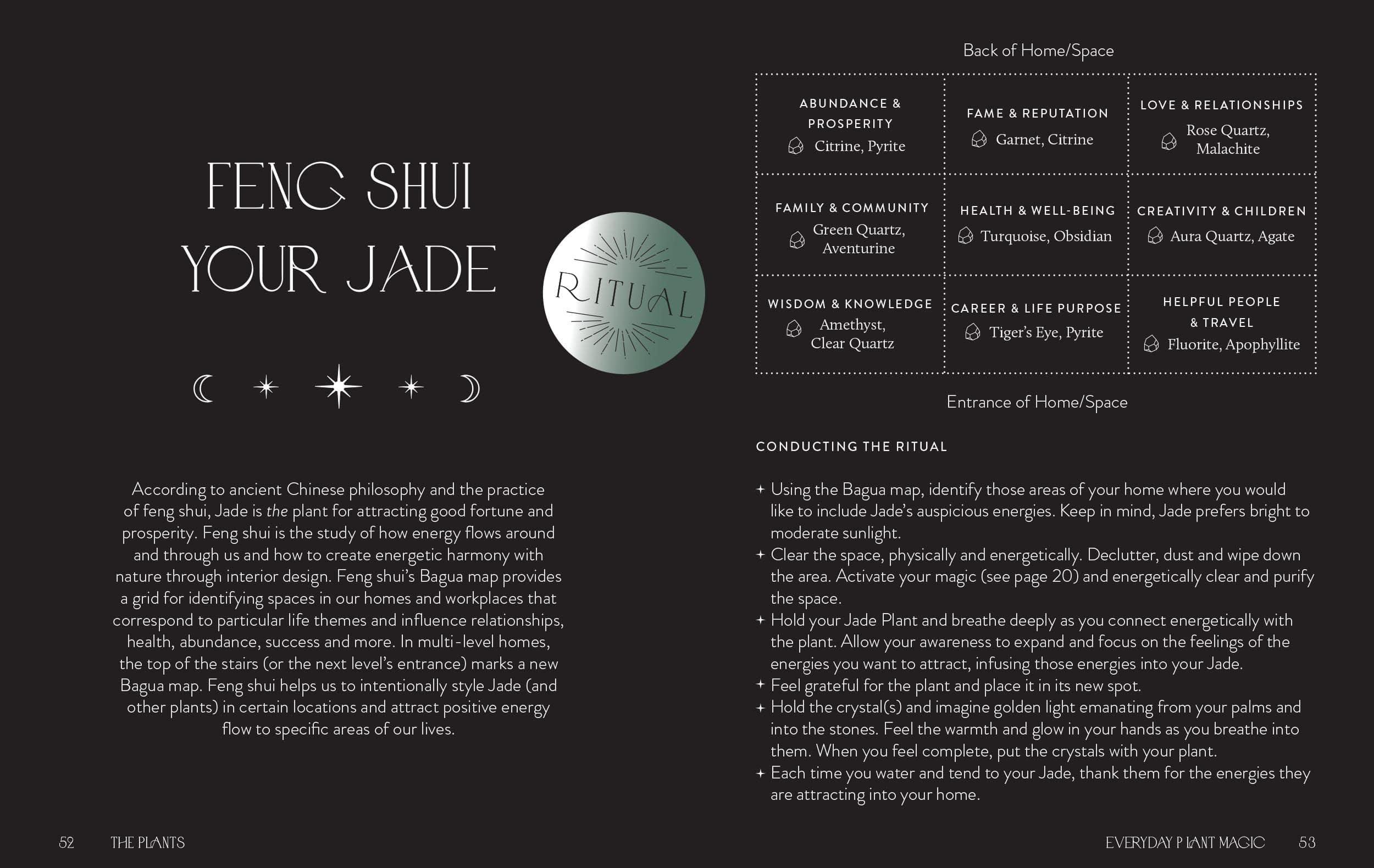 Everyday Plant Magic