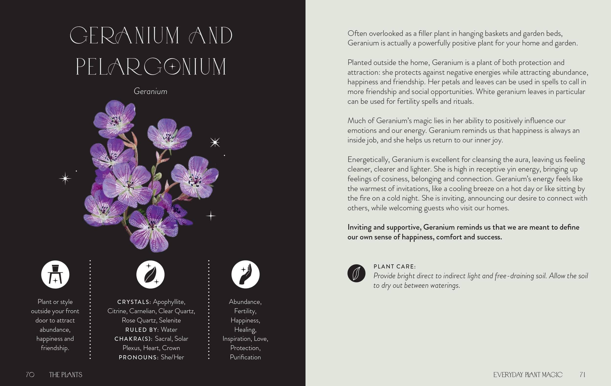 Everyday Plant Magic