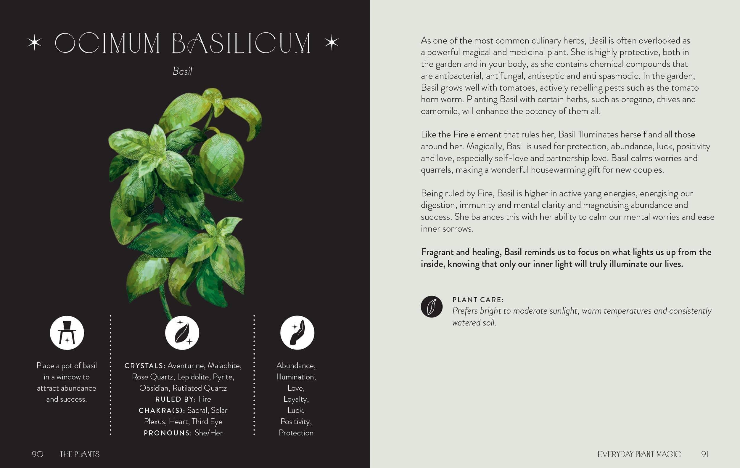 Everyday Plant Magic