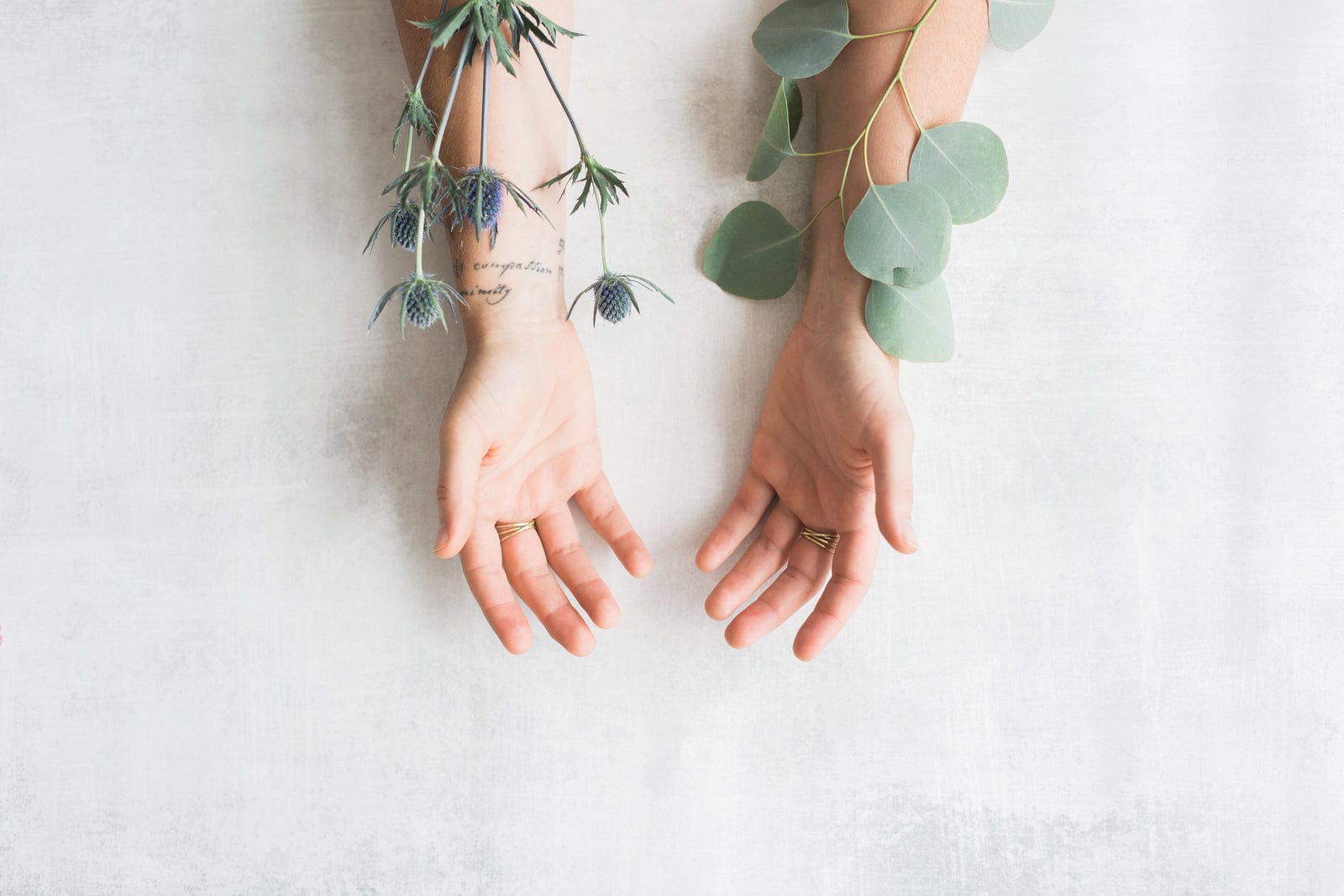 June Life Purpose Hand Analysis on Zoom: Align with the Map in Your Fingerprints Two-Day Course with Jennifer McGee