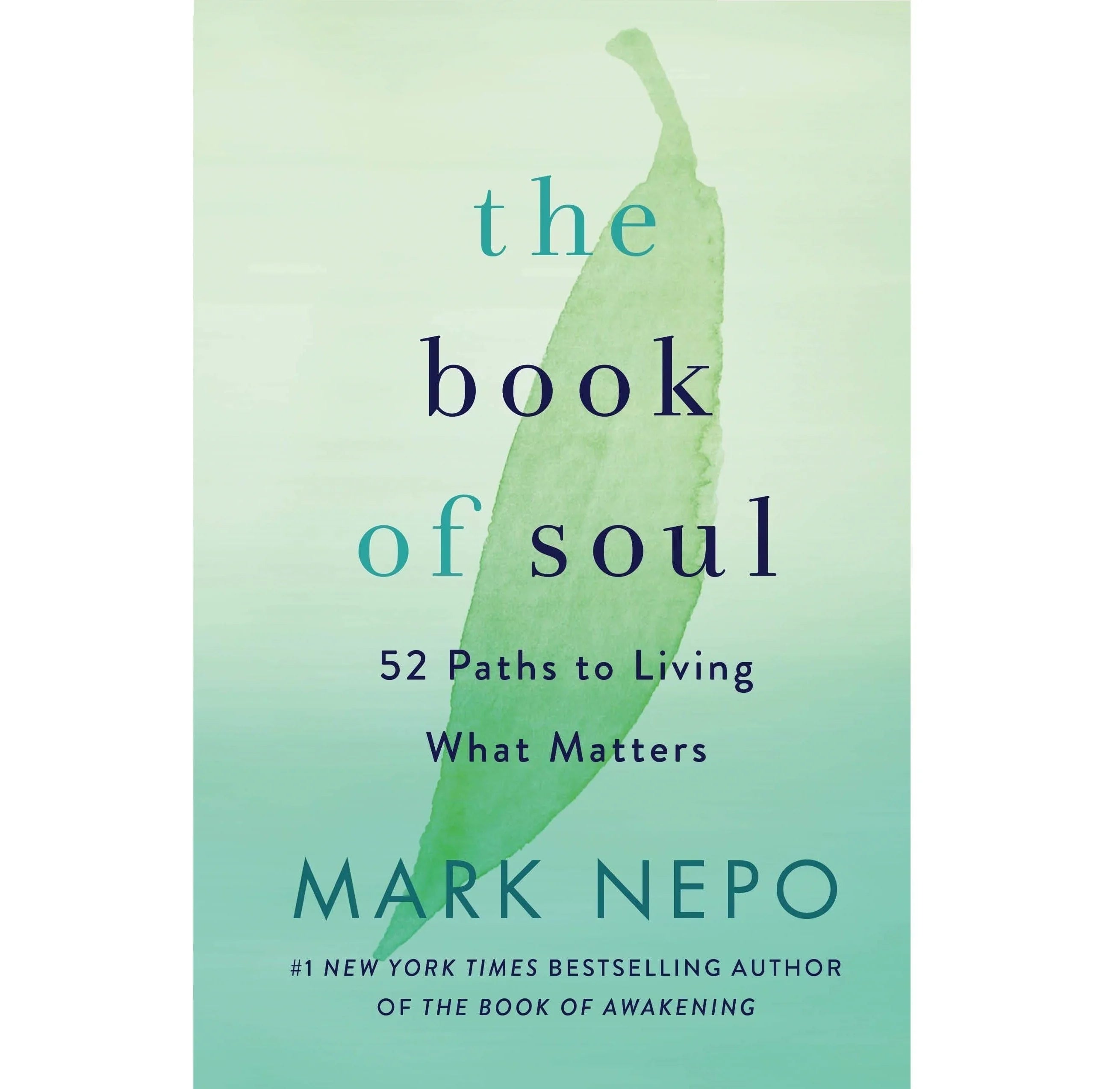 Book of Soul