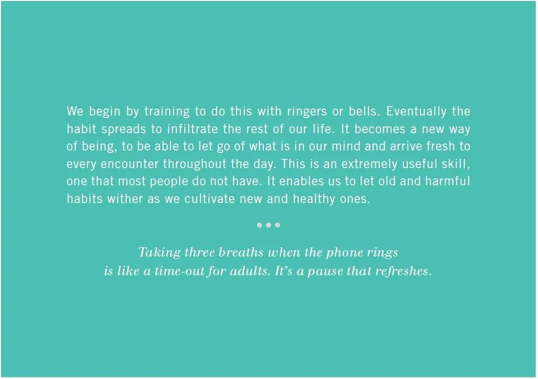 Mindfulness on the Go Cards