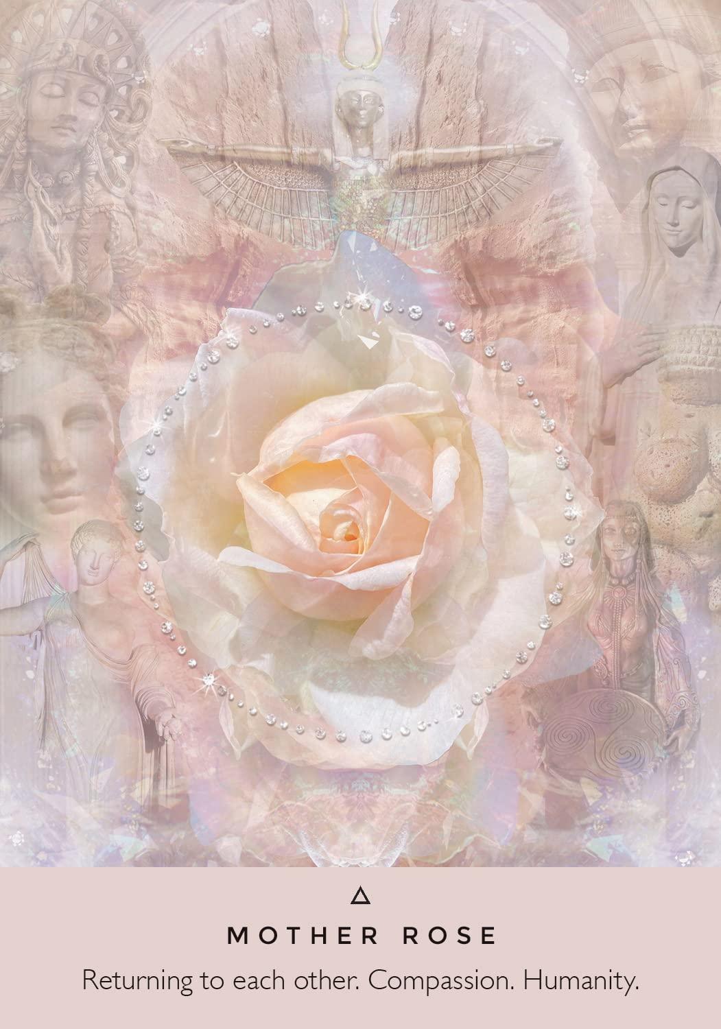 Rose Oracle Card 3