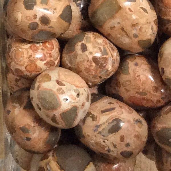 Leopardite for acceptance, ancestral wisdom, releasing conflict