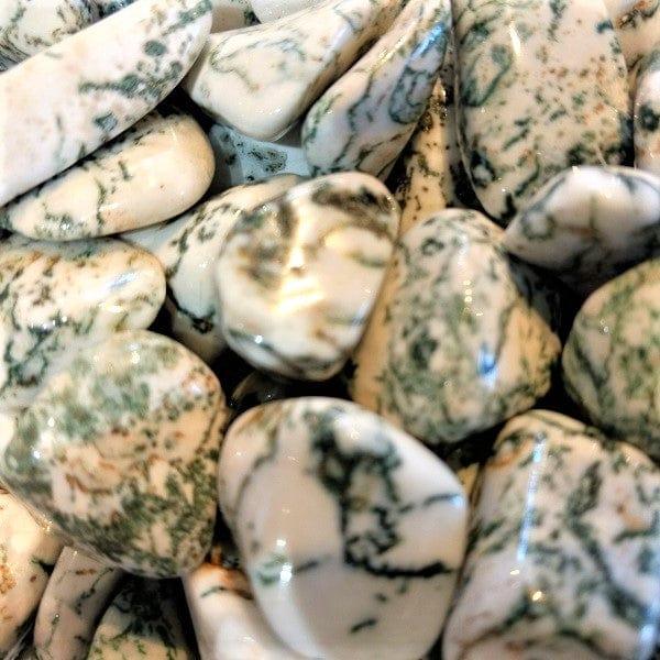 Tree Agate Tumbled Pocket Stone Group