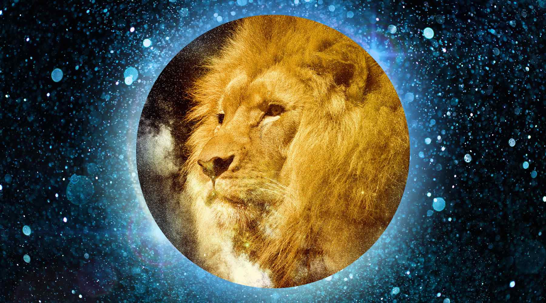 New Moon in Leo