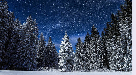 Winter Solstice Forest with Snow