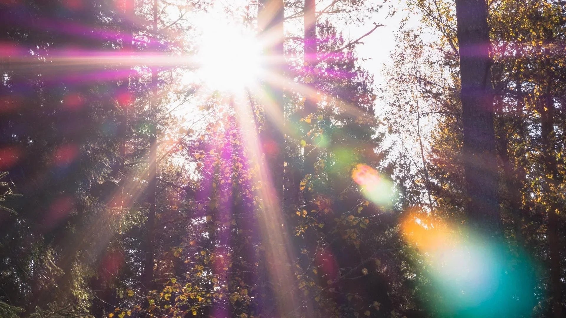 The Fall Equinox Collection