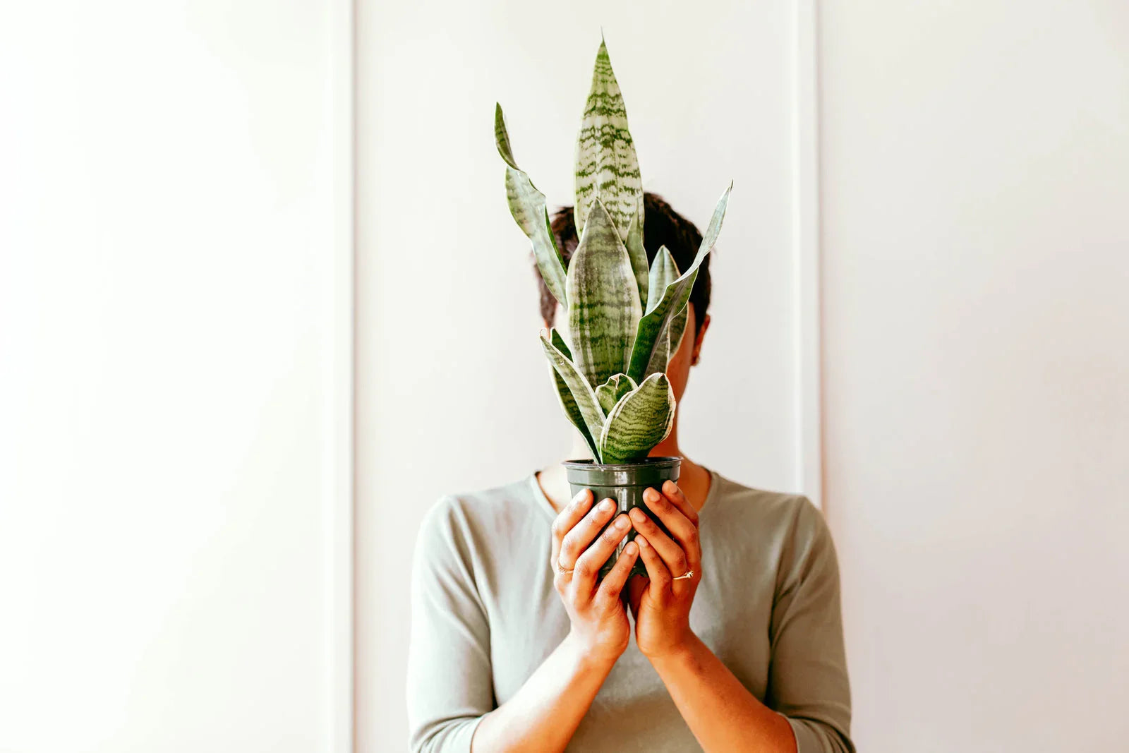 Gifts for Housewarming