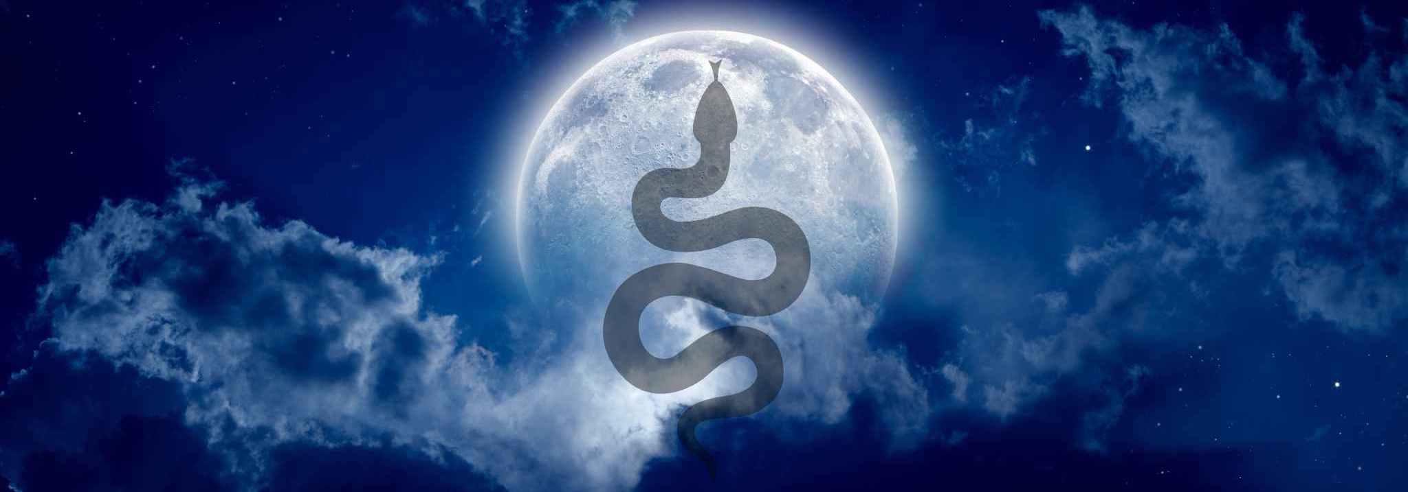 2025 Lunar New Year: Year of The Snake