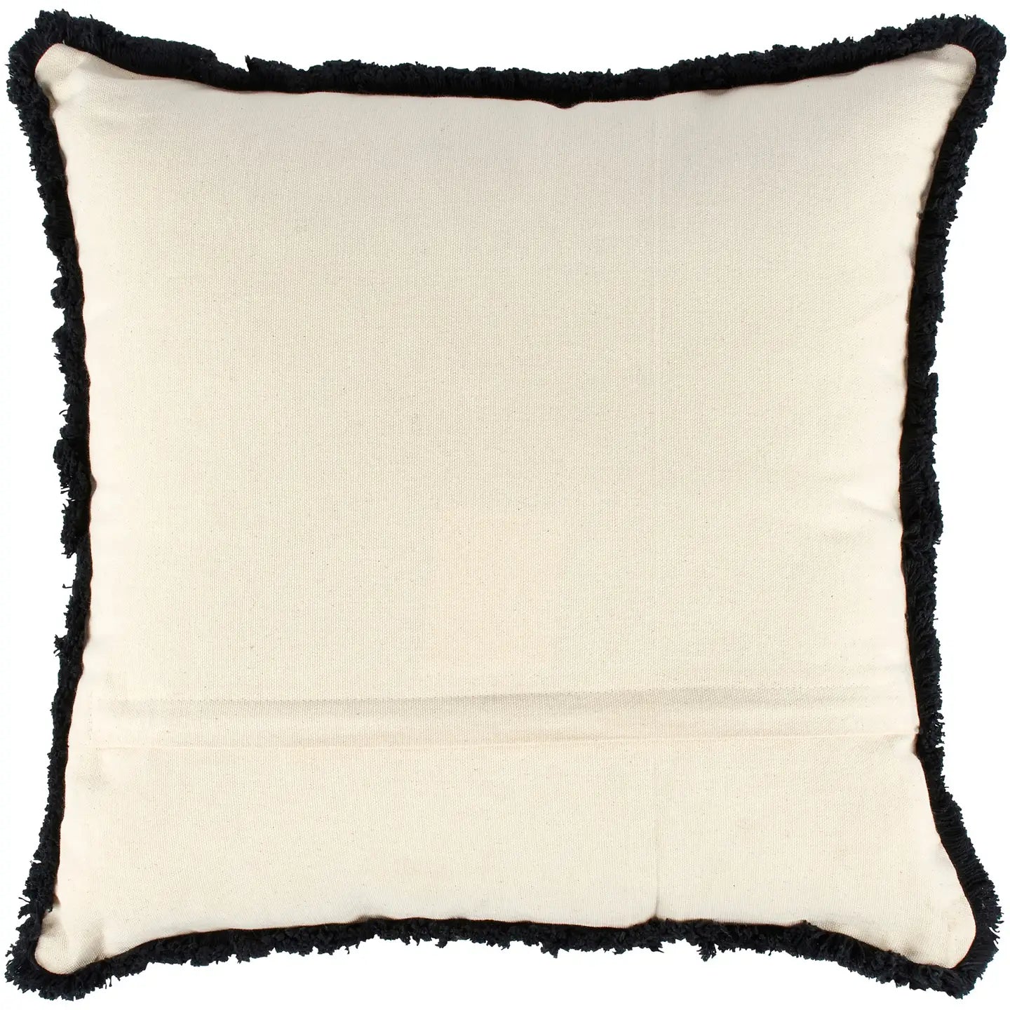 Eye Of Providence Pillow Back