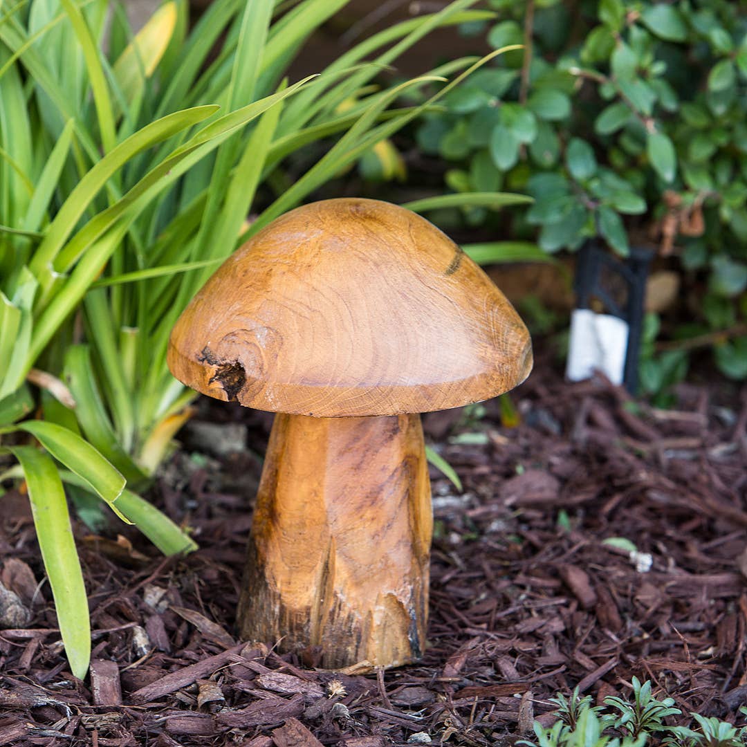 Hand Carved Teak Root Mushroom Sculpture 2