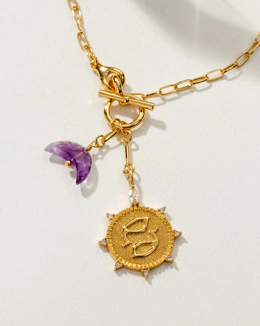 Pisces Front Toggle Zodiac Necklace with Amethyst Charm Accent