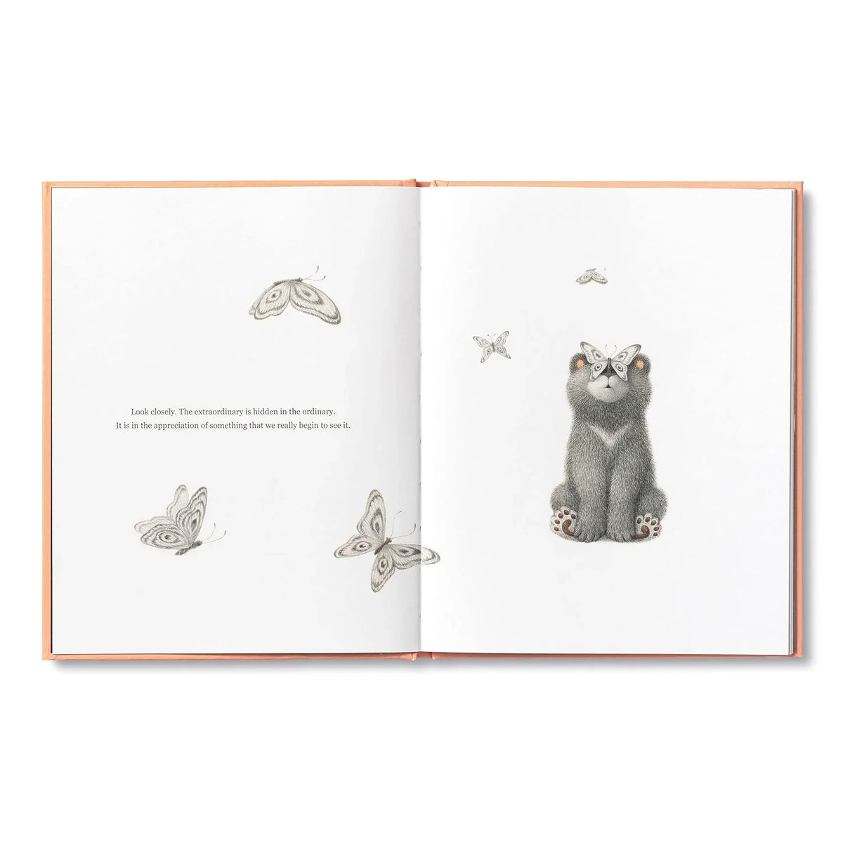 Open book with illustrations of a cat and butterflies on white pages.