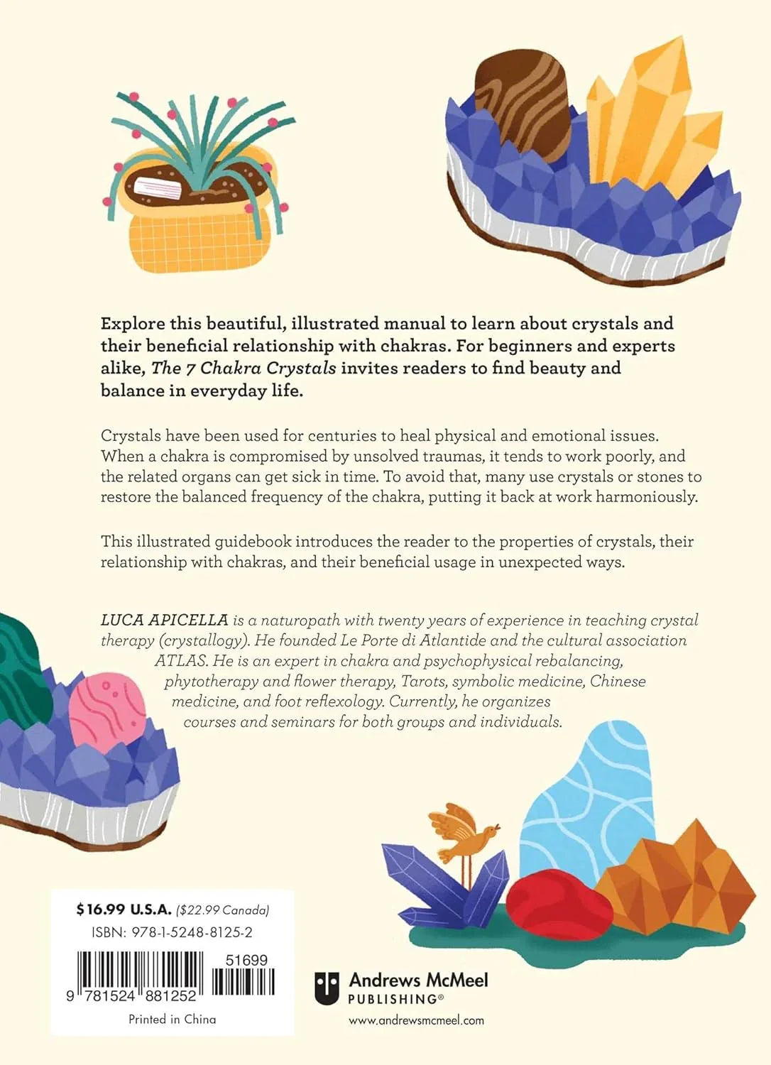 Back cover of a book about crystals and chakras with colorful illustrations and text.