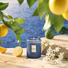 Voluspa Mediterranean Lemon Small Jar Candle 5.5 oz at ocean